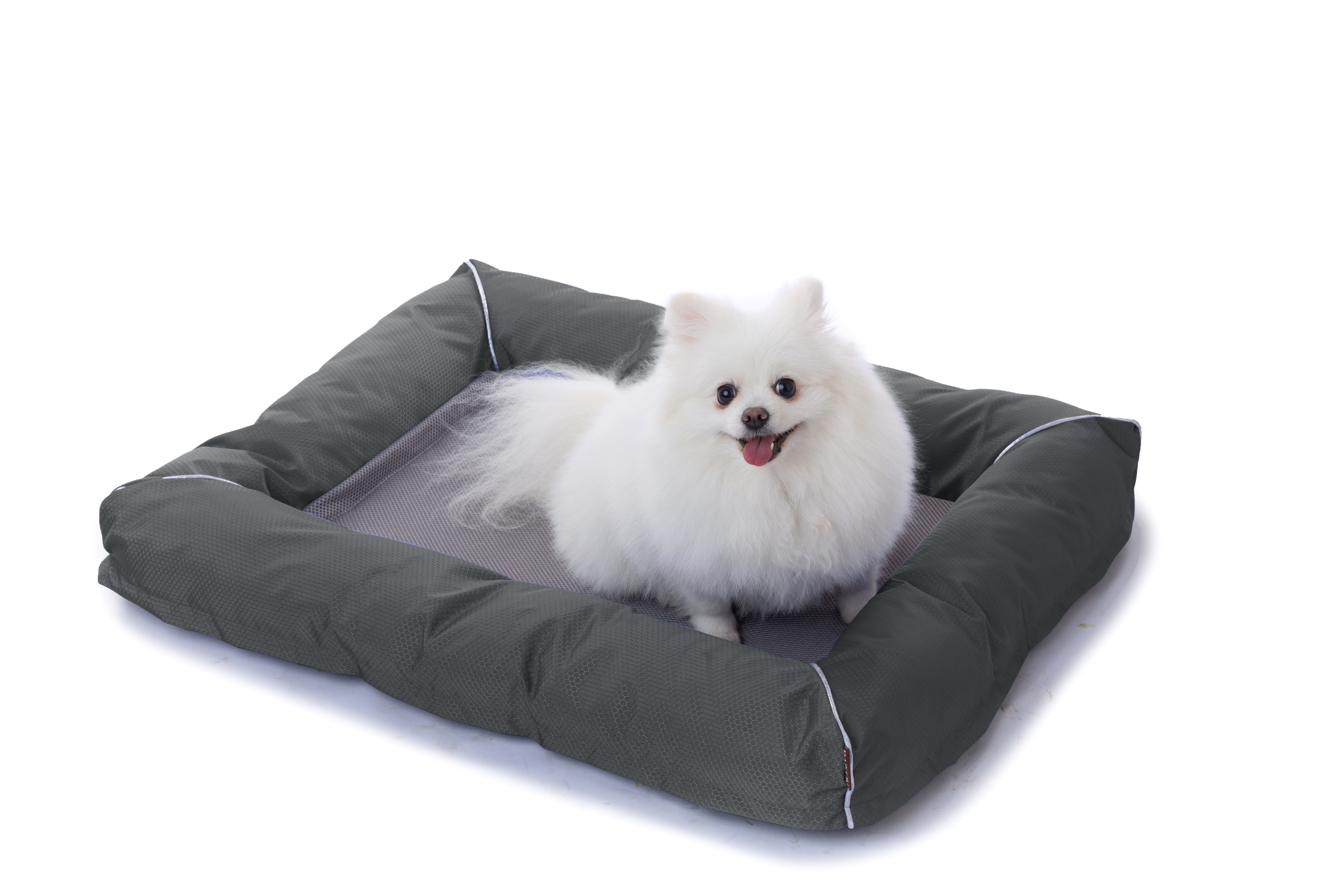 Raikou Hundebett Hundesofa Katzenbett Tierbette Bezug abnehmbar und waschbar  Boden wasserabweisend Abti Rutsch