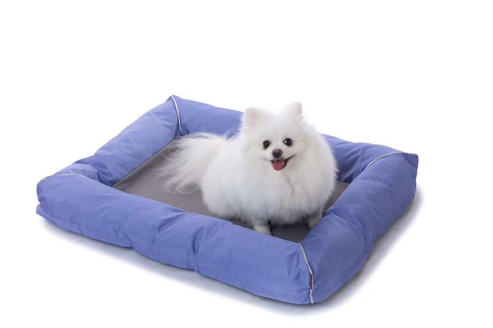 Raikou Hundebett Hundesofa Katzenbett Tierbette Bezug abnehmbar und waschbar  Boden wasserabweisend Abti Rutsch