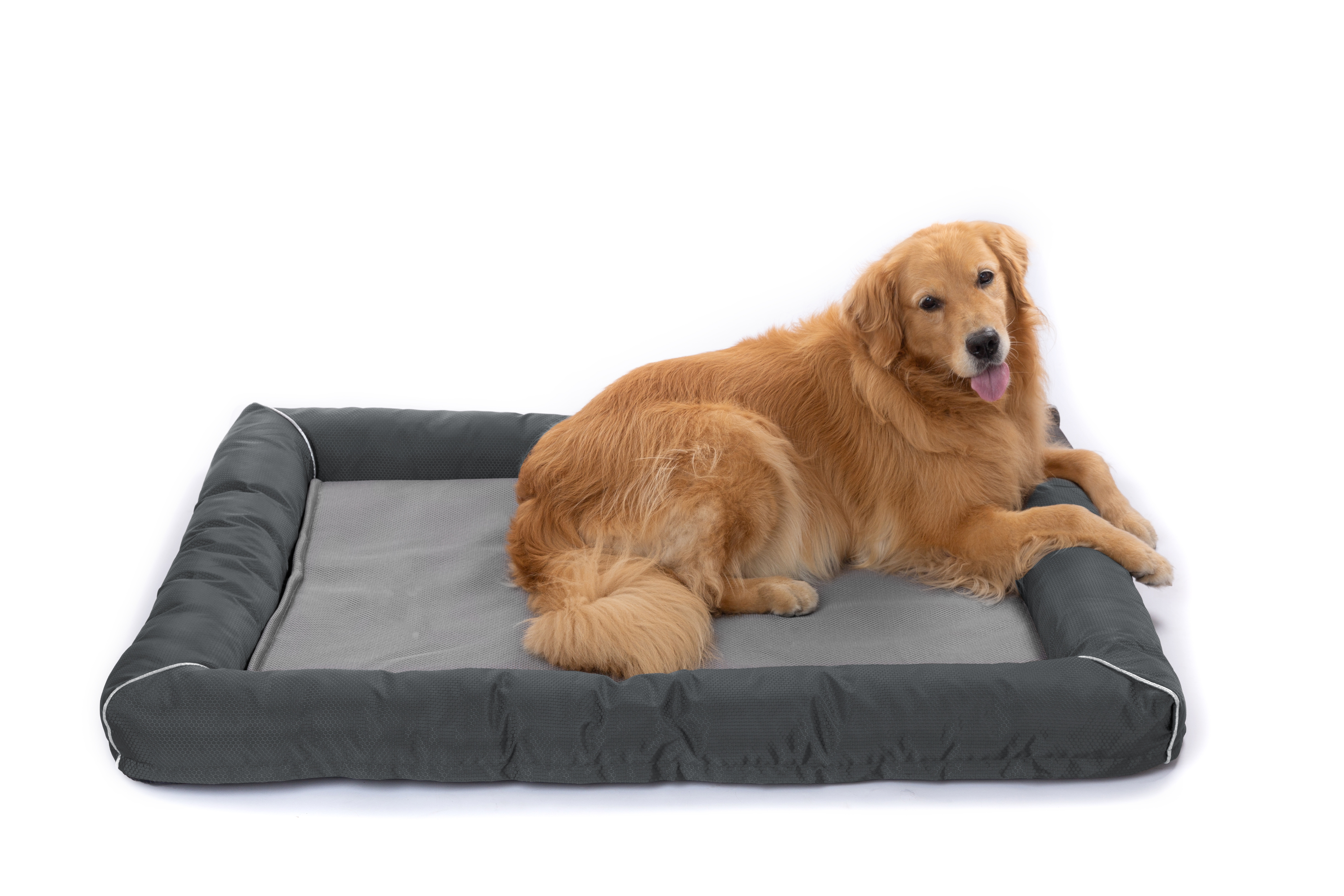 Raikou Hundebett Hundesofa Katzenbett Tierbette Bezug abnehmbar und waschbar  Boden wasserabweisend Abti Rutsch