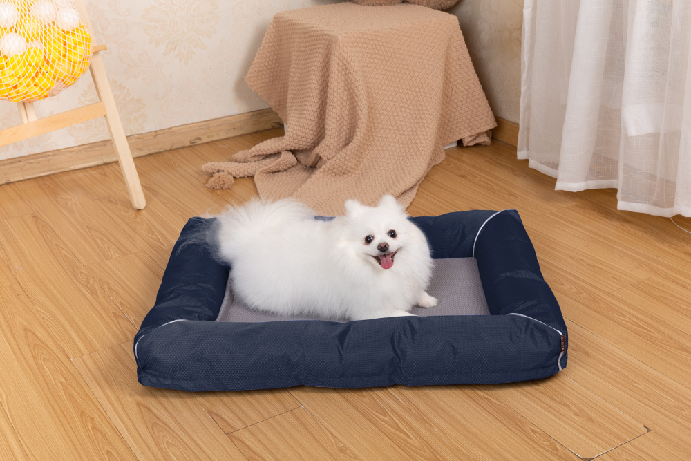 Raikou Hundebett Hundesofa Katzenbett Tierbette Bezug abnehmbar und waschbar  Boden wasserabweisend Abti Rutsch