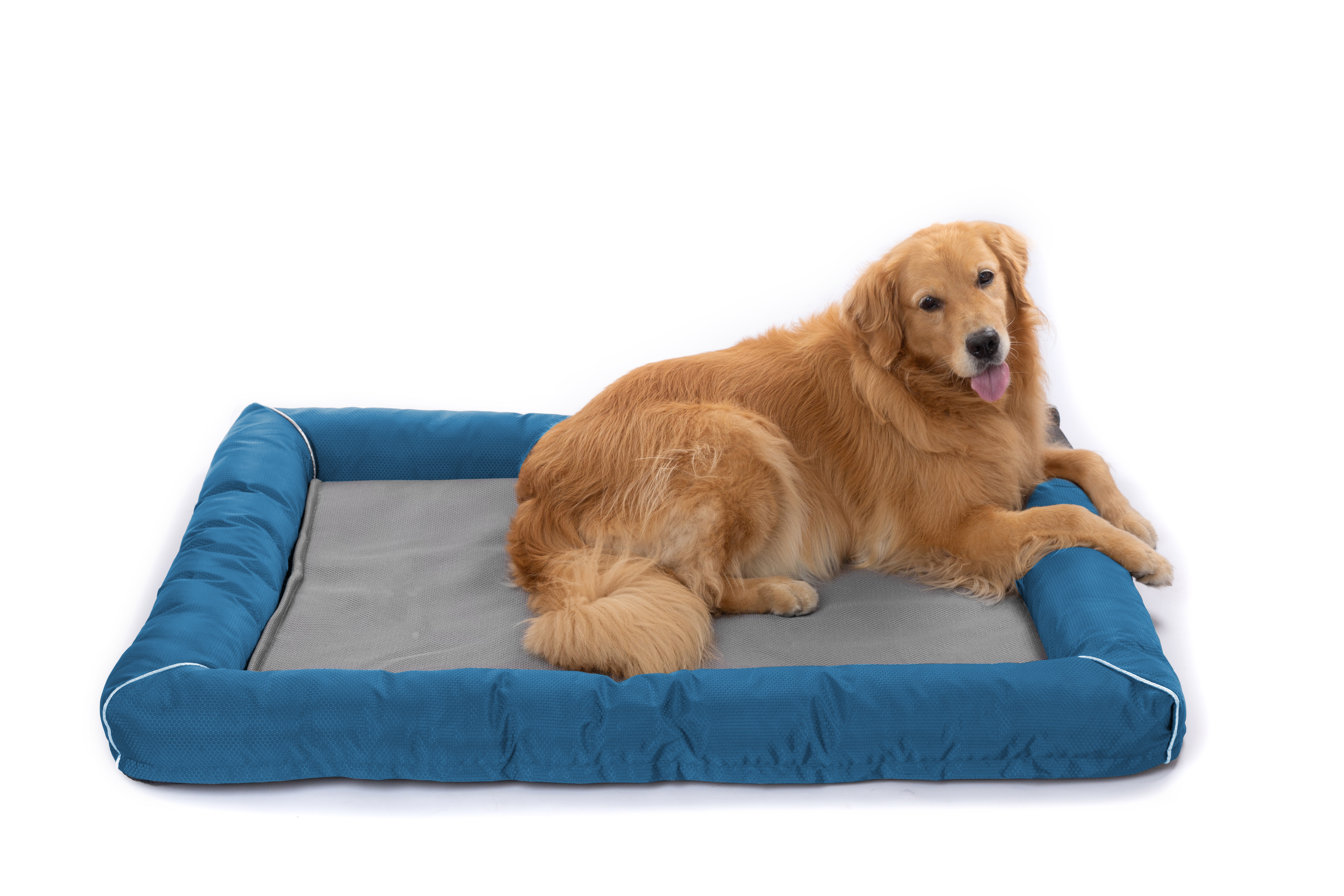 Raikou Hundebett Hundesofa Katzenbett Tierbette Bezug abnehmbar und waschbar  Boden wasserabweisend Abti Rutsch
