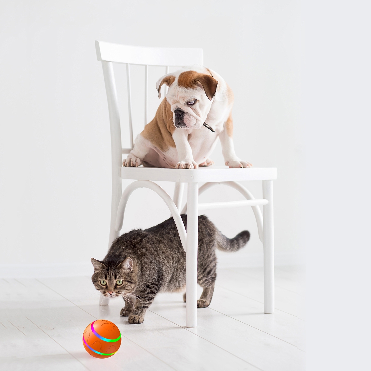 RAIKOU Power Smart Ball für Hunde, Interaktives Hundespielzeug, Elektrischer Selbstrollender Hundeball mit LED-Licht, wiederaufladbar über USB-C, Hüpfball Orange