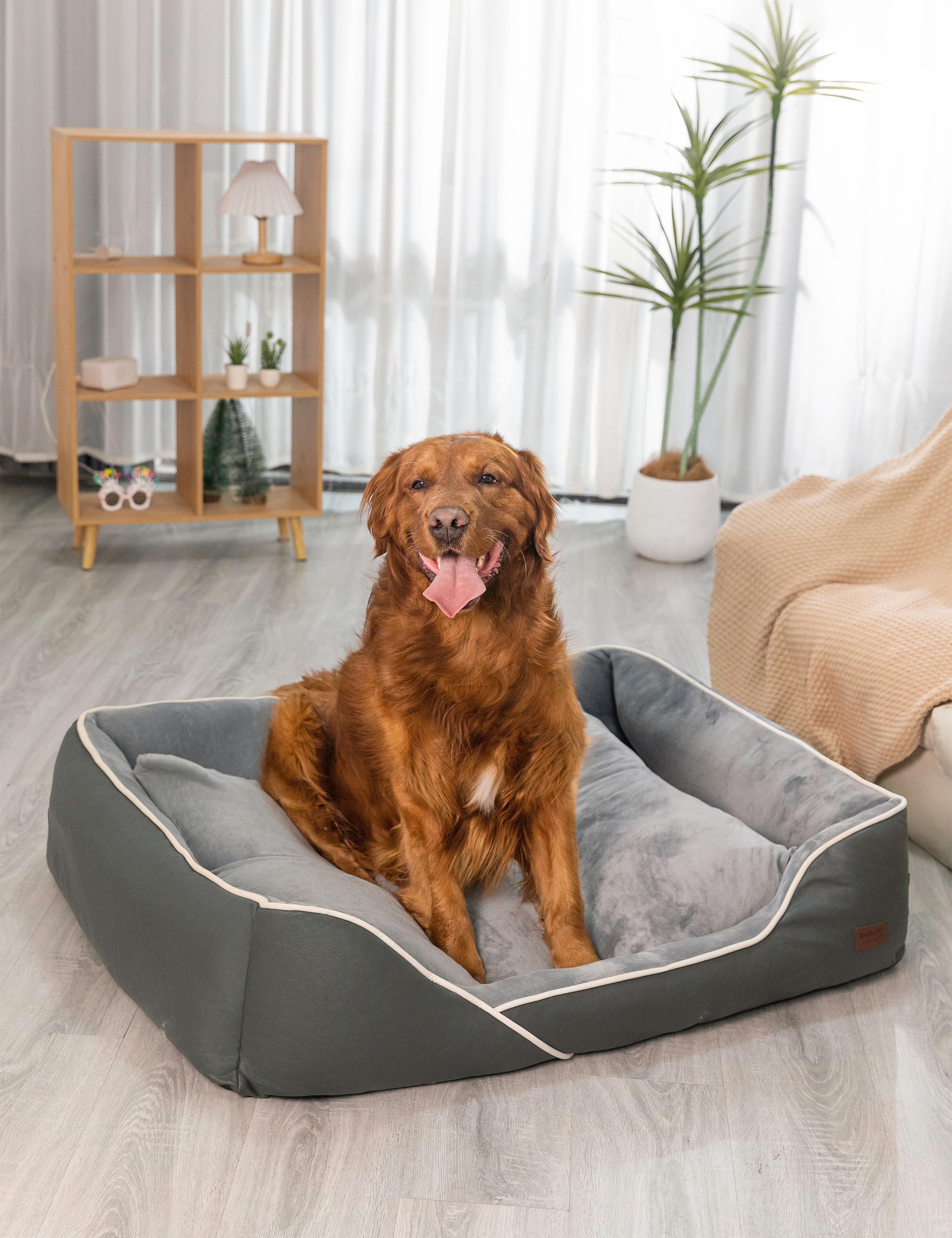 Hundebett in 3 Größen und 6 Farben – rutschfest, waschbar, hoher Rand, Baumwollmischgewebe