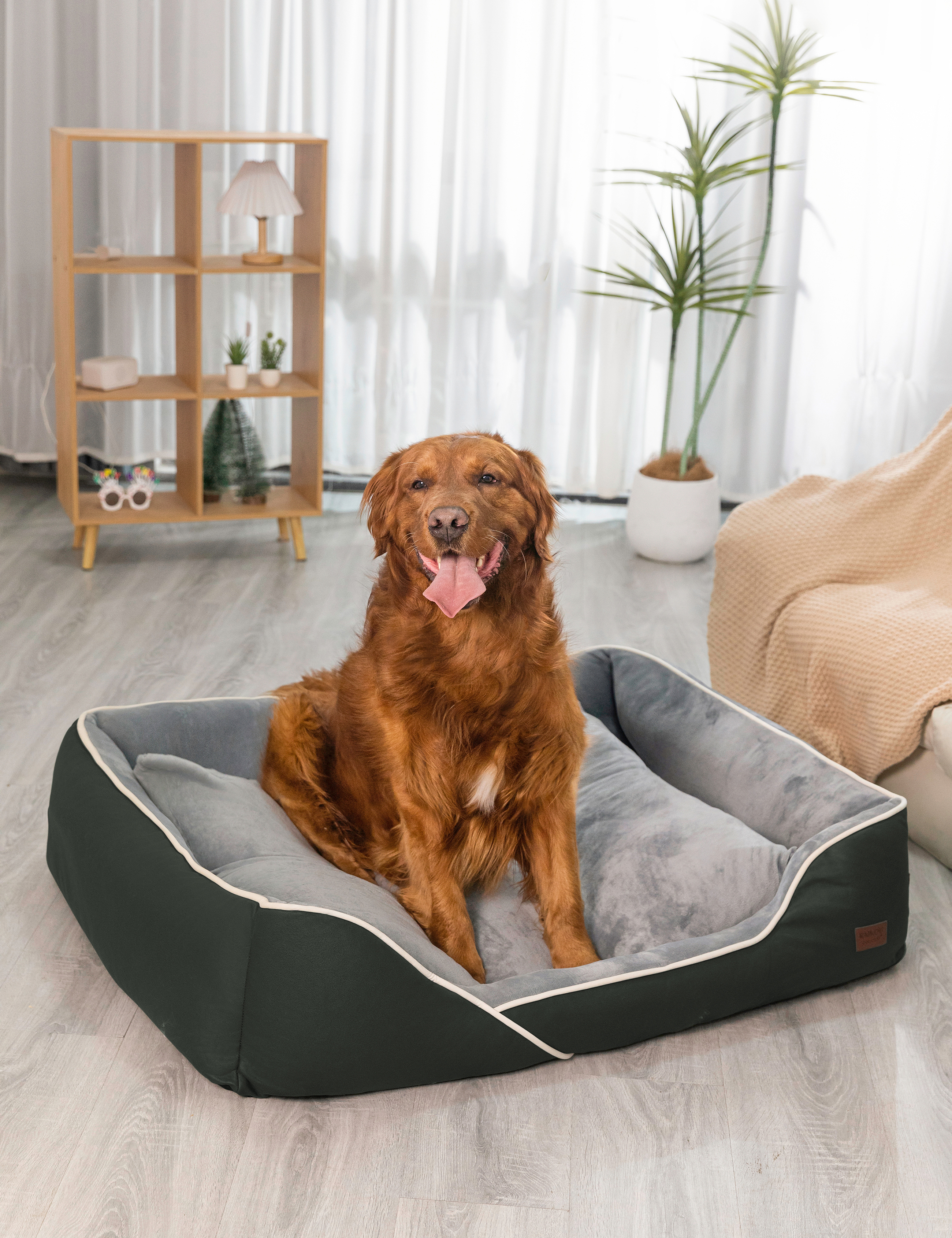 Hundebett in 3 Größen und 6 Farben – rutschfest, waschbar, hoher Rand, Baumwollmischgewebe
