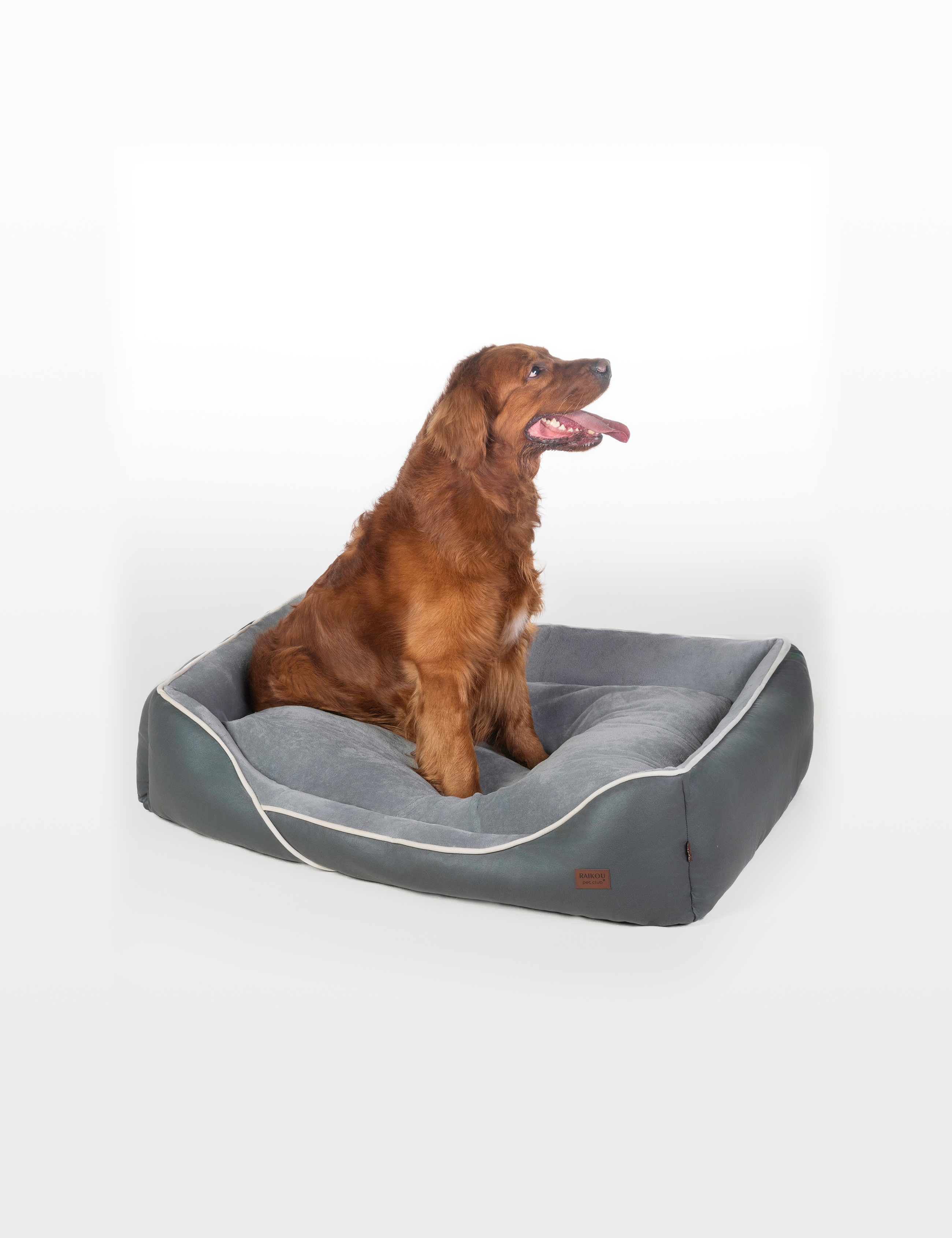 Hundebett in 3 Größen und 6 Farben – rutschfest, waschbar, hoher Rand, Baumwollmischgewebe