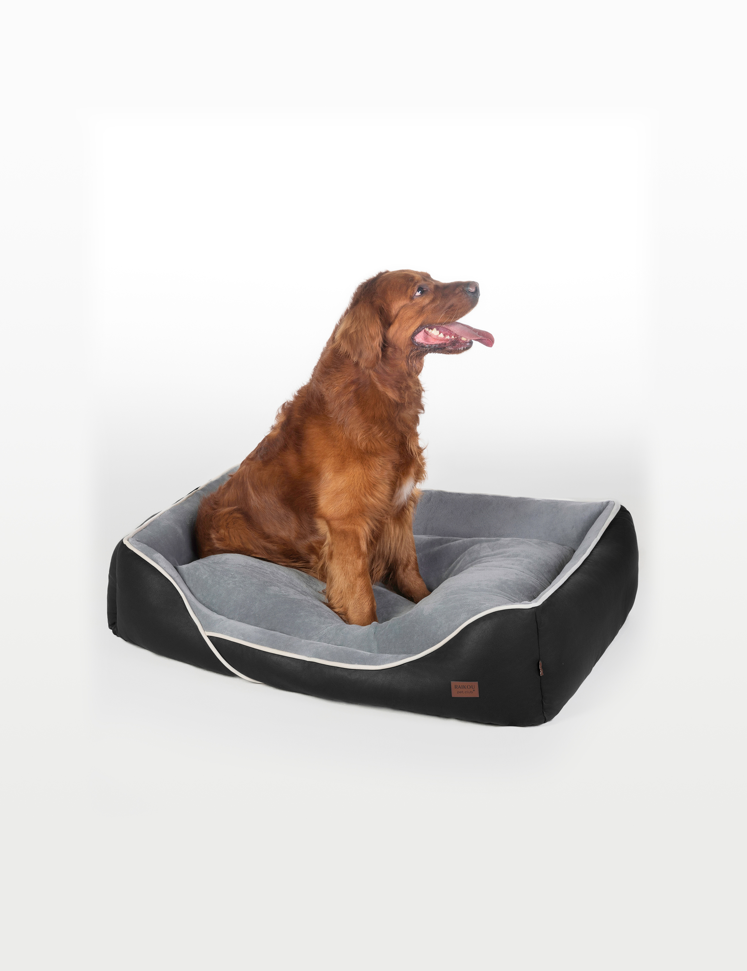 Hundebett in 3 Größen und 6 Farben – rutschfest, waschbar, hoher Rand, Baumwollmischgewebe
