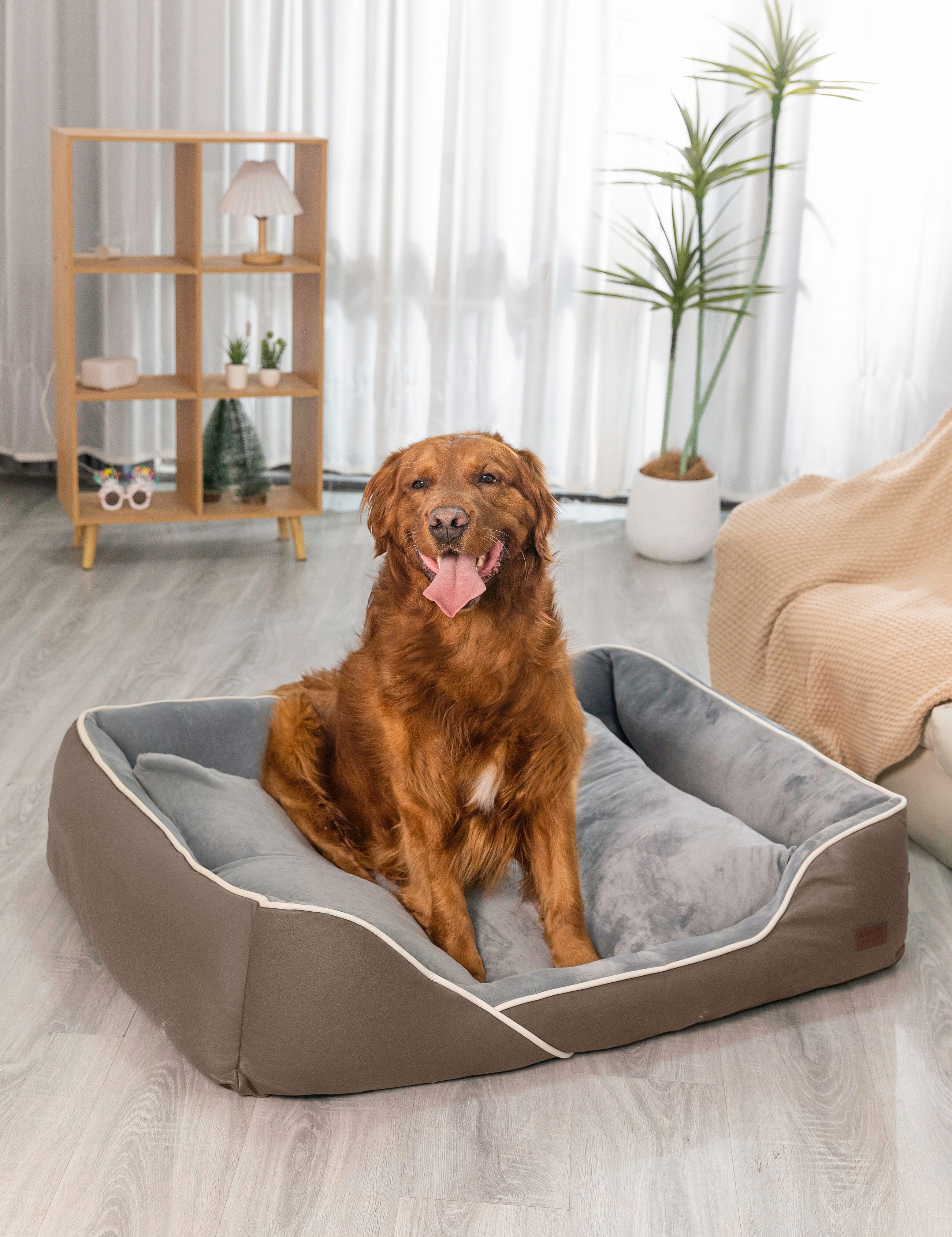 Hundebett in 3 Größen und 6 Farben – rutschfest, waschbar, hoher Rand, Baumwollmischgewebe