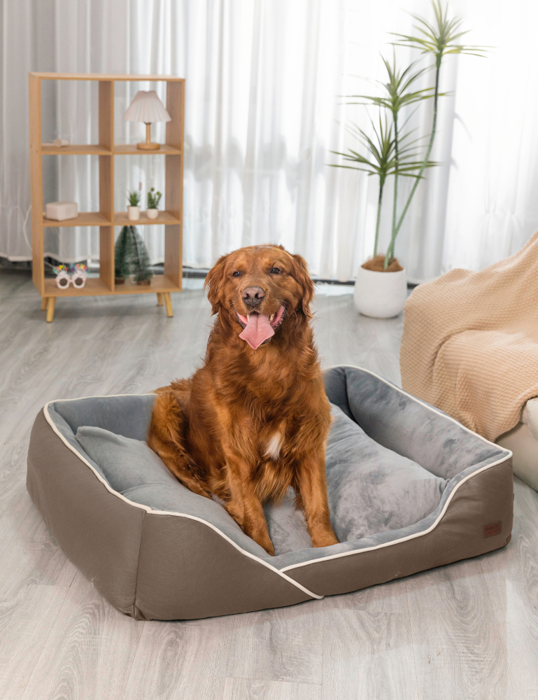 Hundebett in 3 Größen und 6 Farben – rutschfest, waschbar, hoher Rand, Baumwollmischgewebe