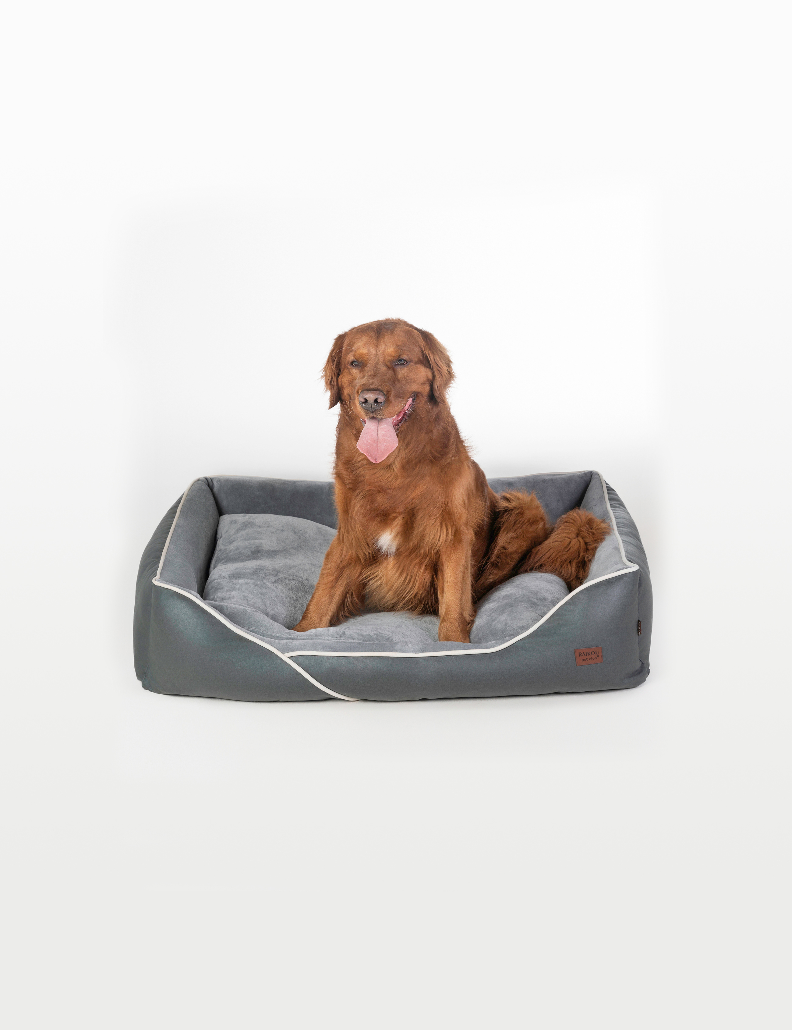 Hundebett in 3 Größen und 6 Farben – rutschfest, waschbar, hoher Rand, Baumwollmischgewebe