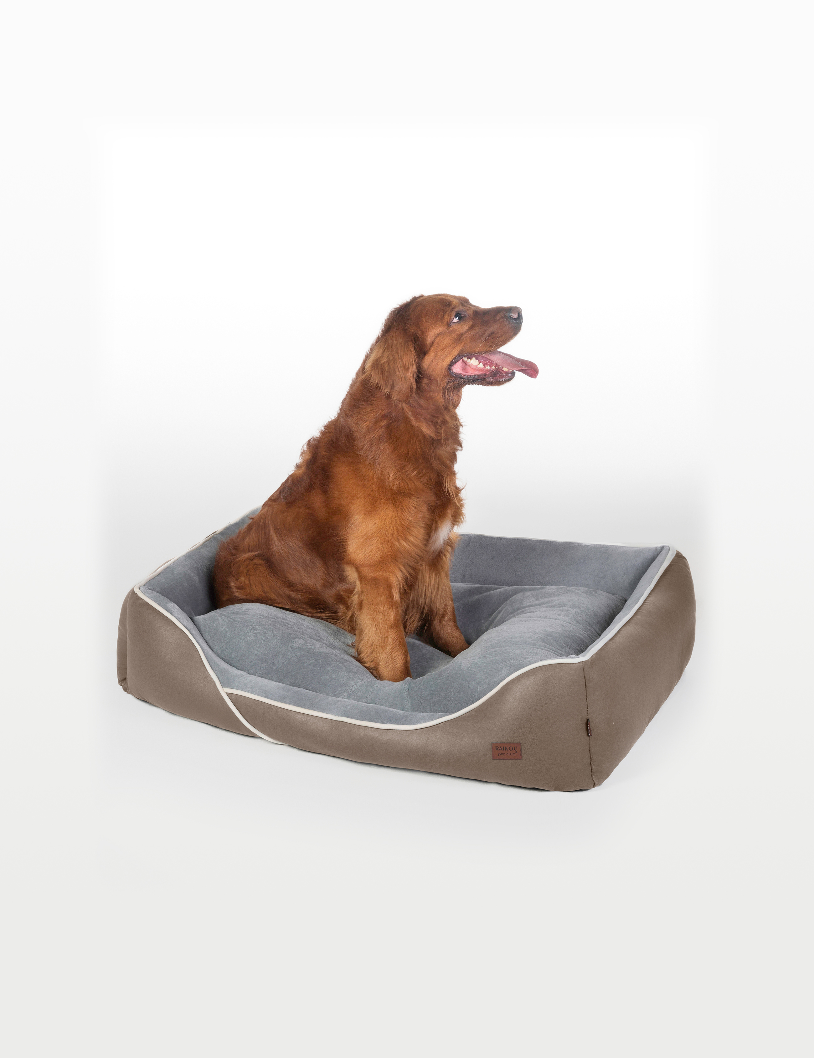 Hundebett in 3 Größen und 6 Farben – rutschfest, waschbar, hoher Rand, Baumwollmischgewebe