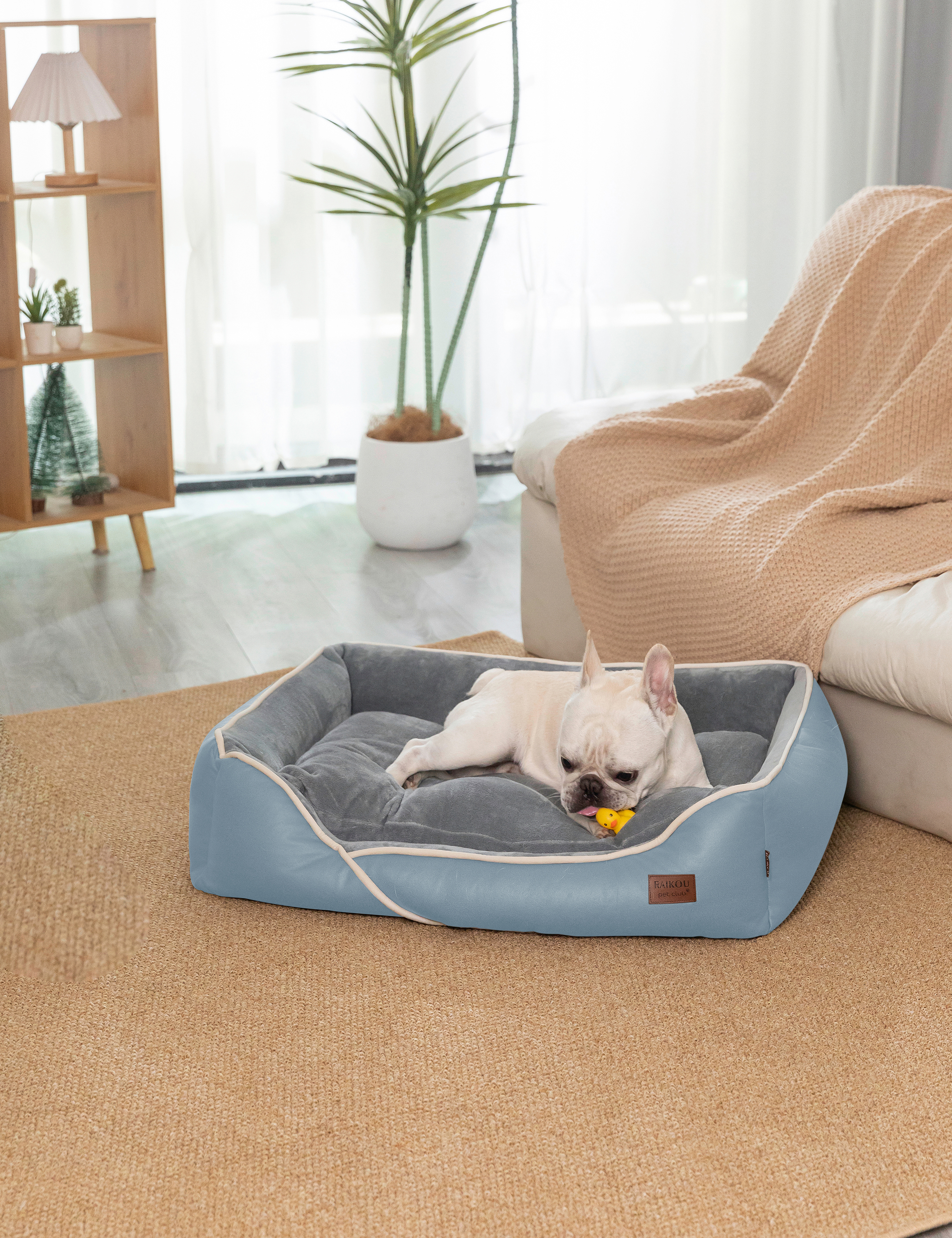 Hundebett in 3 Größen und 6 Farben – rutschfest, waschbar, hoher Rand, Baumwollmischgewebe