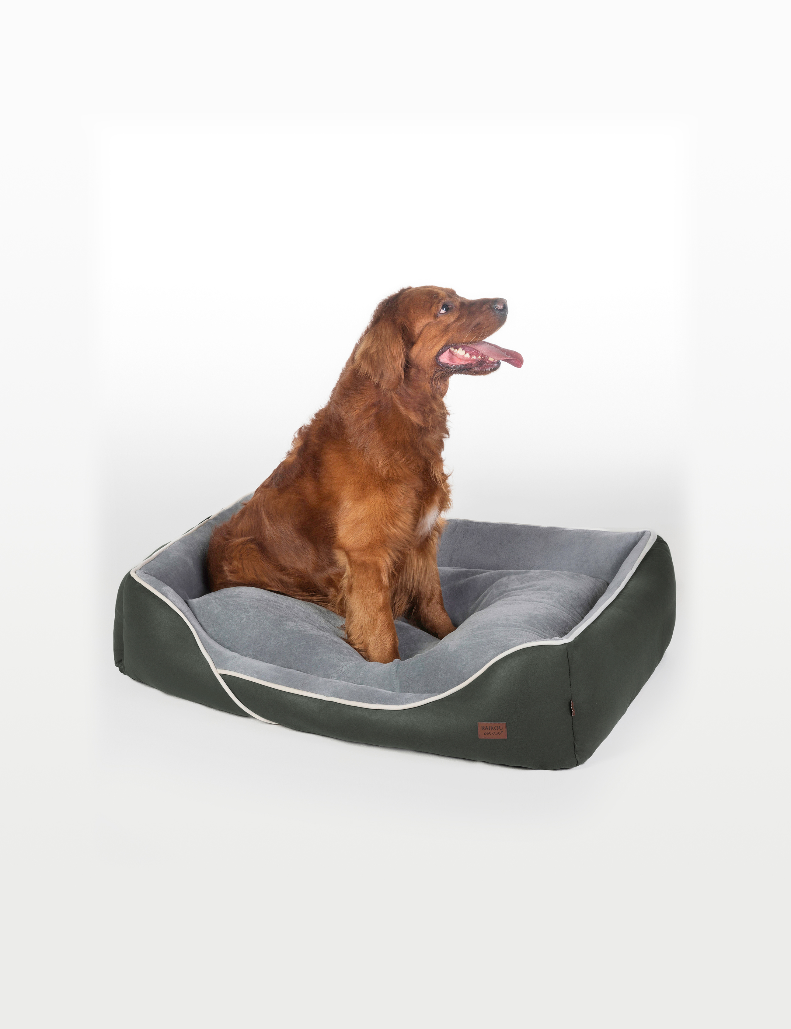 Hundebett in 3 Größen und 6 Farben – rutschfest, waschbar, hoher Rand, Baumwollmischgewebe