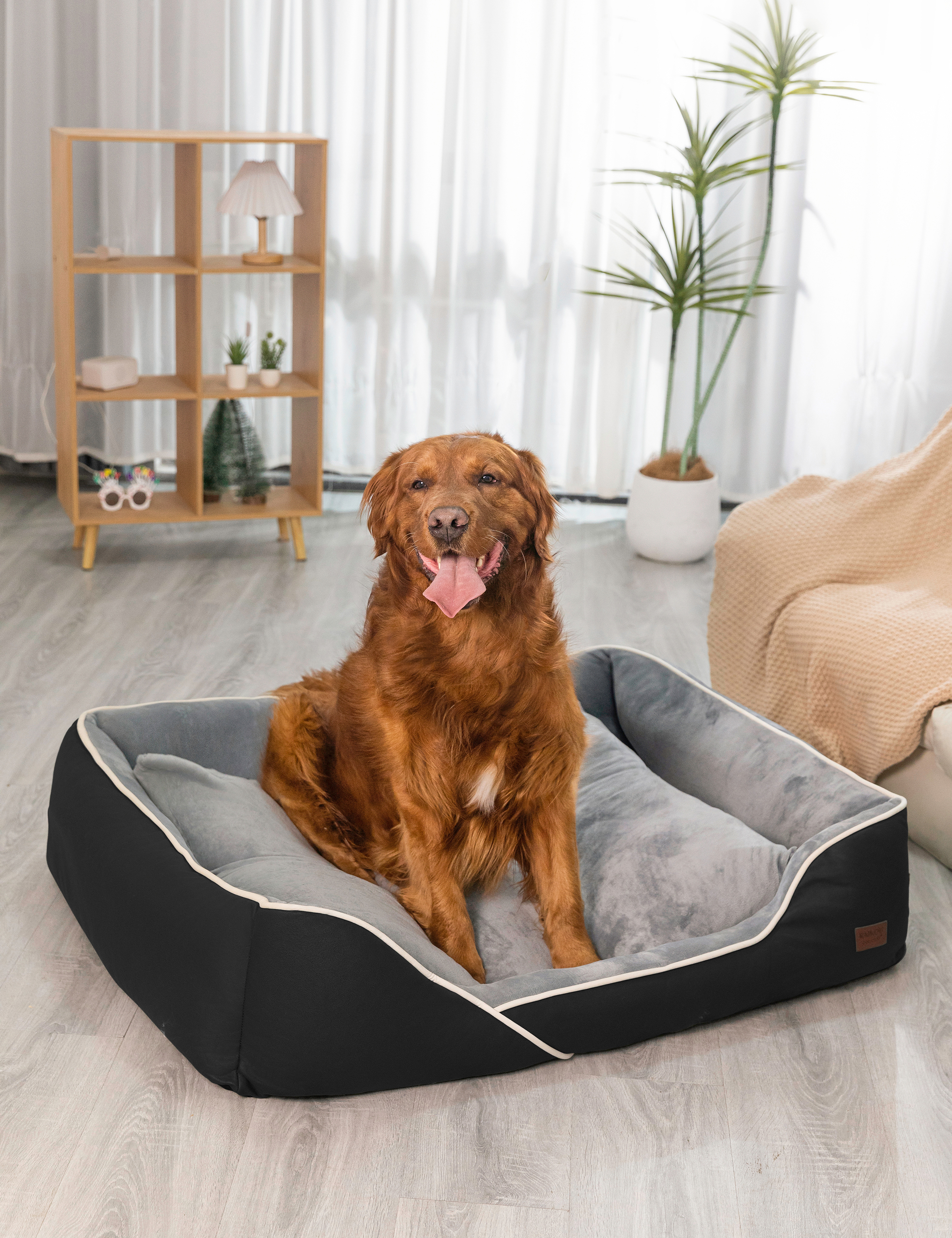 Hundebett in 3 Größen und 6 Farben – rutschfest, waschbar, hoher Rand, Baumwollmischgewebe