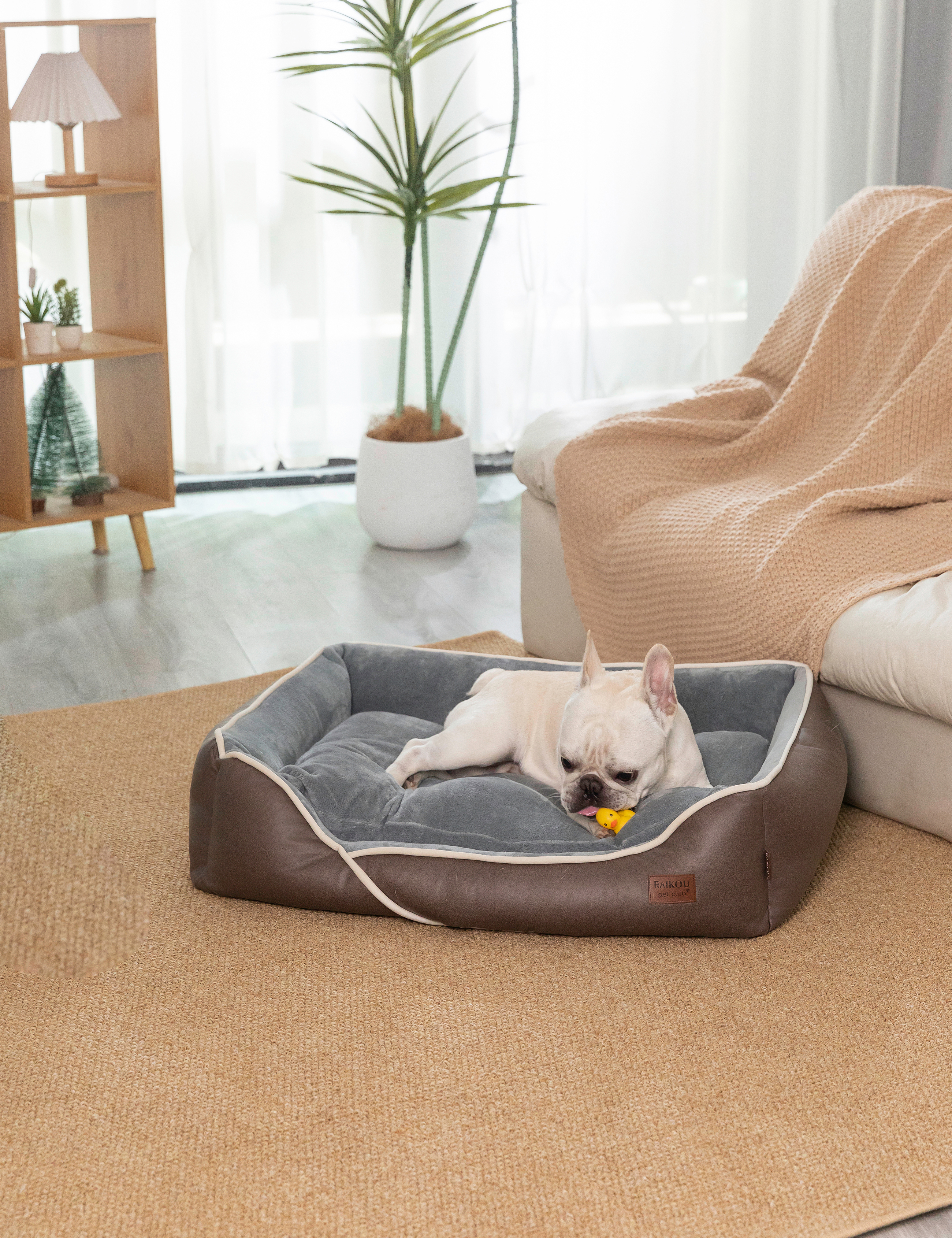 Hundebett in 3 Größen und 6 Farben – rutschfest, waschbar, hoher Rand, Baumwollmischgewebe