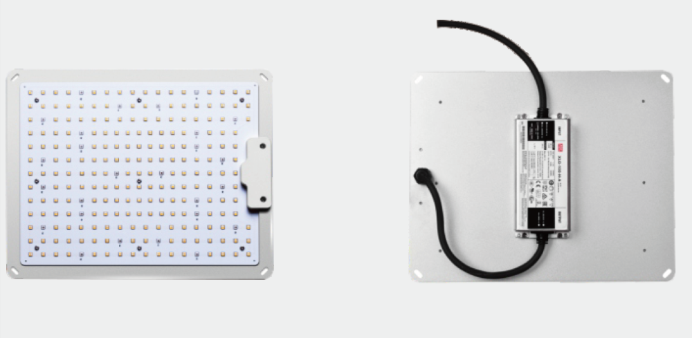 Vollspektrum LED Pflanzenlampe – 100W dimmbares Pflanzenlicht mit 660NM Tiefrot & 3000K Warmweiß, ideal für lichtliebende Pflanzen, geeignet für Indoor-Anbau, Gewächshäuser, Hydrokultur & Zimmerpflanzen