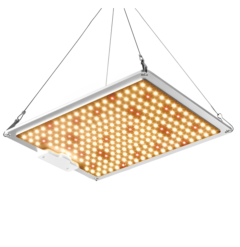 Vollspektrum LED Pflanzenlampe – 100W dimmbares Pflanzenlicht mit 660NM Tiefrot & 3000K Warmweiß, ideal für lichtliebende Pflanzen, geeignet für Indoor-Anbau, Gewächshäuser, Hydrokultur & Zimmerpflanzen