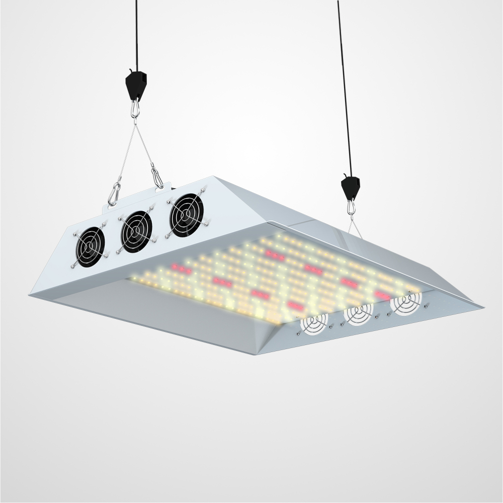 LED Pflanzenlampe 100W Vollspektrum mit Dimmer – Modell MG100W für Indoor Grow, Hydrokultur & Gewächshaus