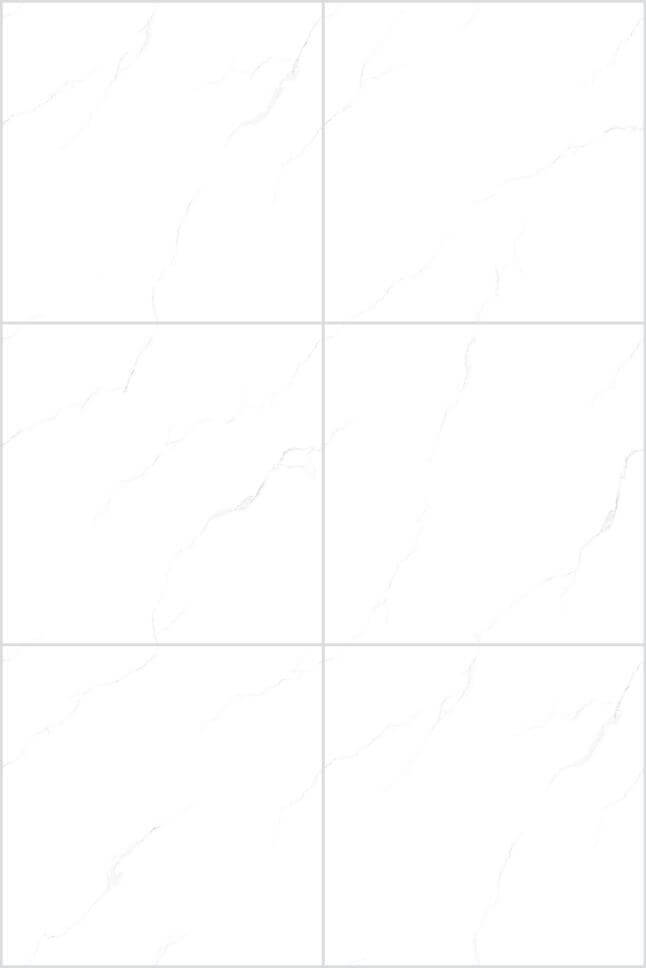 Snow White Full Polished Tile