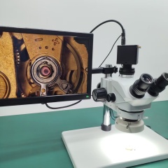 Trinocular Microscope with Camera and Hanging Display,Phanture,Trinocular Microscope with Camera and Hanging Display