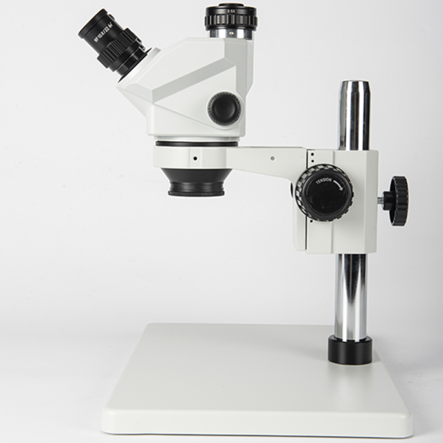 Trinocular Microscope with Camera and Hanging Display,Phanture,Trinocular Microscope with Camera and Hanging Display
