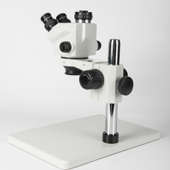 Trinocular Microscope with Camera and Hanging Display,Phanture,Trinocular Microscope with Camera and Hanging Display