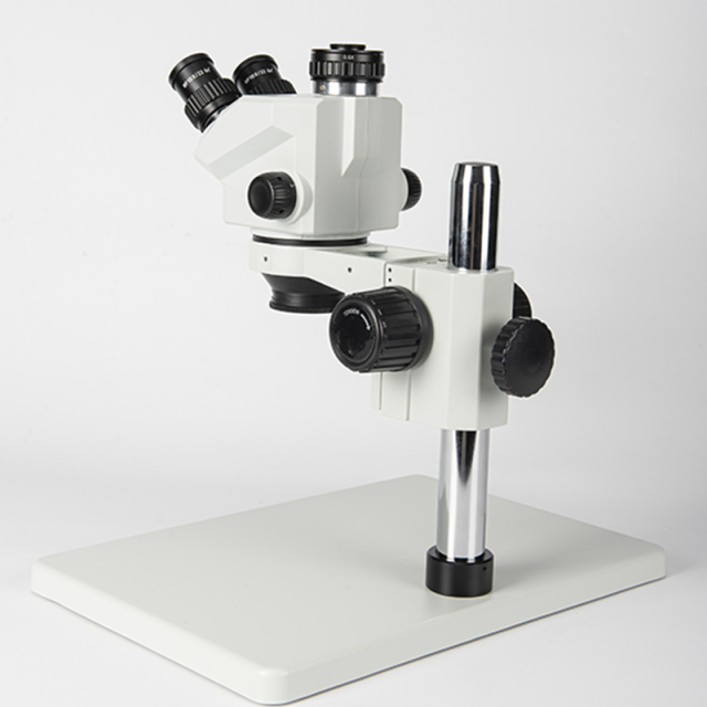 Trinocular Microscope with Camera and Hanging Display,Phanture,Trinocular Microscope with Camera and Hanging Display