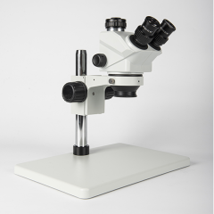 Trinocular Microscope with Camera and Hanging Display,Phanture,Trinocular Microscope with Camera and Hanging Display