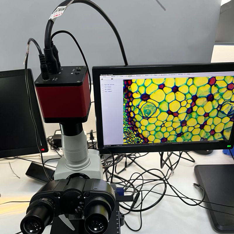 B33T-4K 8MP 1/2.8” Sony CMOS HDMI USB high definition 30fps Industrial Measurement Camera Microscope Camera,Phanture,4K 8MP high definition Industrial Measurement Camera