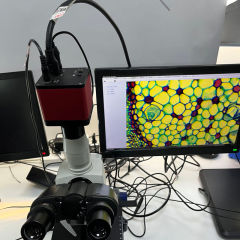 B33T-4K 8MP 1/2.8” Sony CMOS HDMI USB high definition 30fps Industrial Measurement Camera Microscope Camera,Phanture,4K 8MP high definition Industrial Measurement Camera