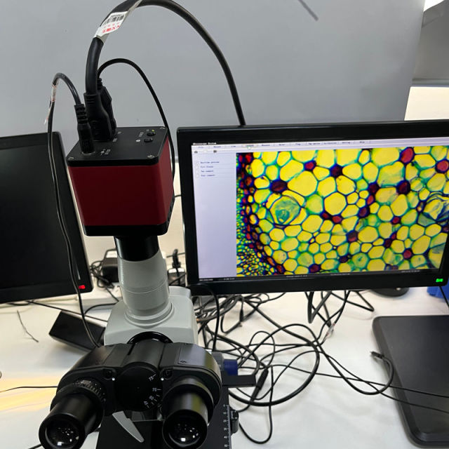 B33T-4K 8MP 1/2.8” Sony CMOS HDMI USB high definition 30fps Industrial Measurement Camera Microscope Camera,Phanture,4K 8MP high definition Industrial Measurement Camera