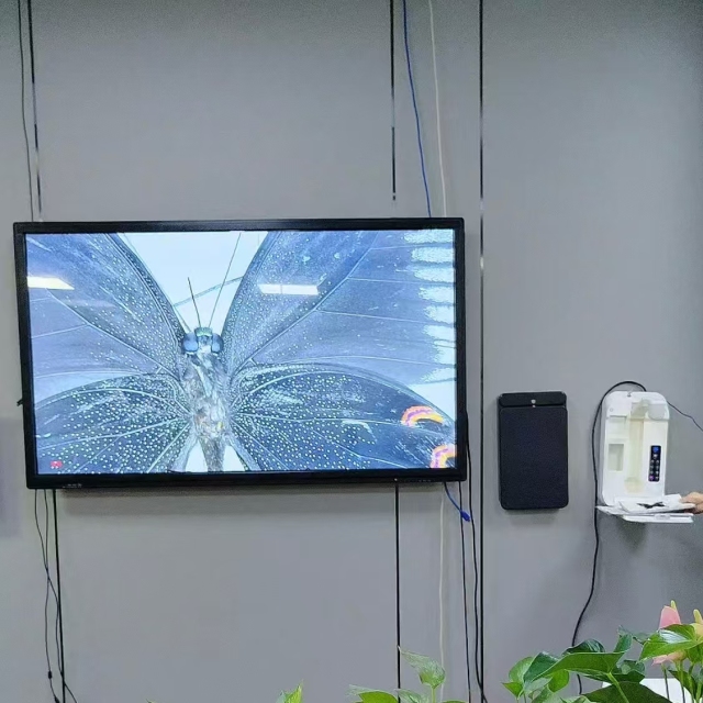 FT-F801H 2M Wall-Mounted Optical Document Camera,Phanture,FT-F801H 4K Wall-Mounted Document Camera Visualizer