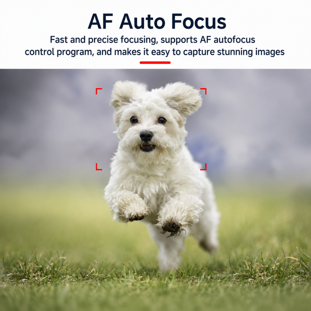 TW1015-5640 5MP AF DVP Camera Module | OV5640 Auto Focus FPC Camera Module for Smart Devices