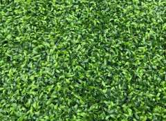 Versatile all-weather synthetic turf designed for diverse climate conditions.