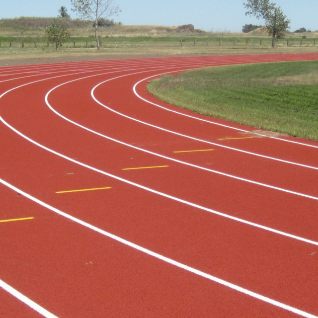 Tapis de jogging en tartan toutes saisons, offrant une excellente résistance aux températures extrêmes.