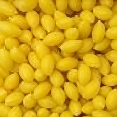 TPV Rubber Granules T05 material close-up for sports flooring applications