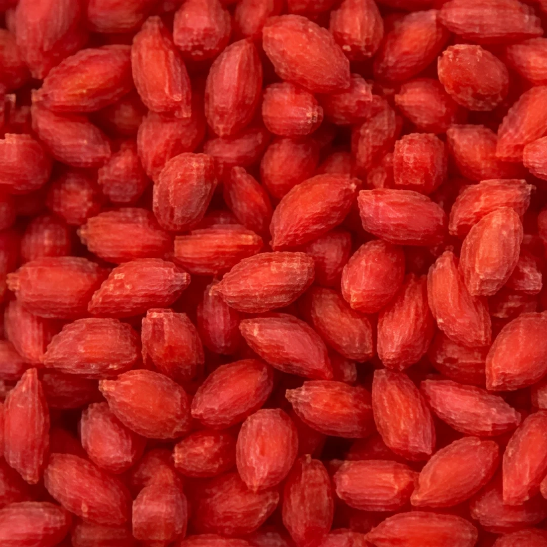 TPV Rubber Granules T10 close-up showing colored thermoplastic vulcanizate granules for sports surfacing applications.