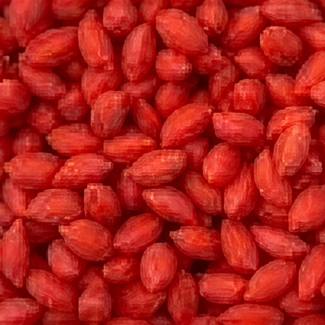 TPV Rubber Granules T10 close-up showing colored thermoplastic vulcanizate granules for sports surfacing applications.