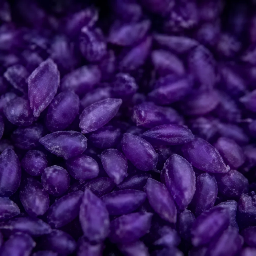 TPV Rubber Granules T12 close-up showing uniform granule texture for sports surfacing materials.
