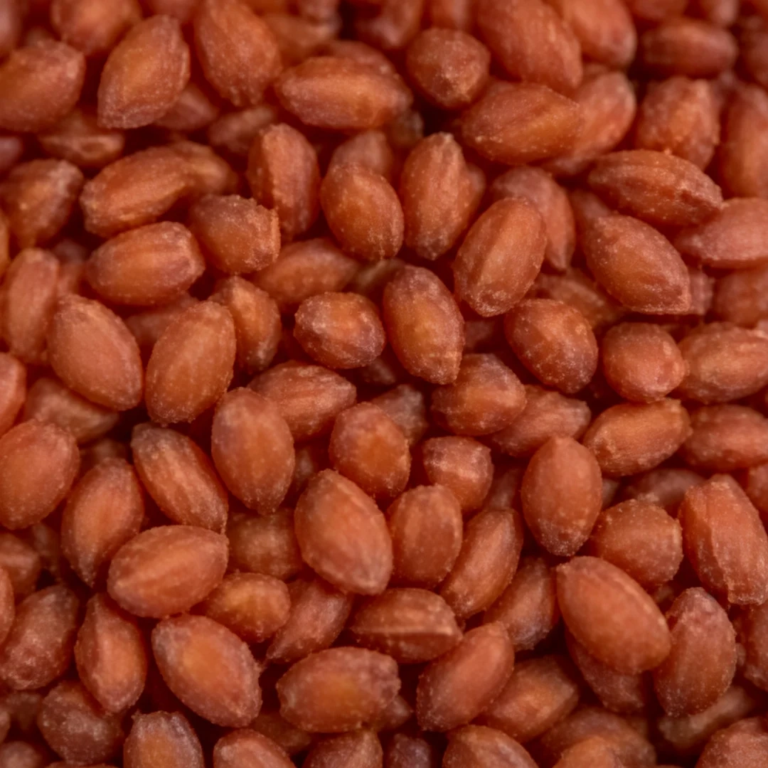 TPV Rubber Granules T13 close-up showing granule texture for sports surfacing applications.