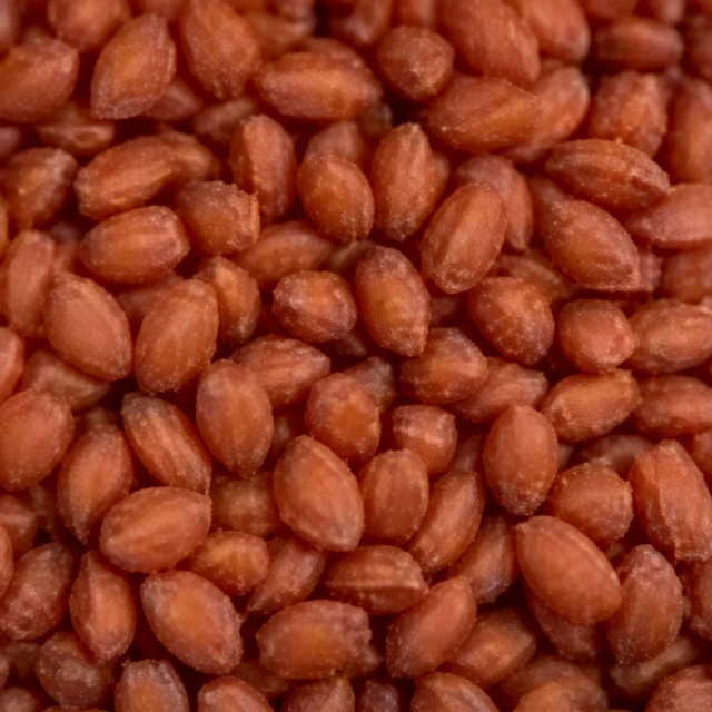 TPV Rubber Granules T13 close-up showing granule texture for sports surfacing applications.