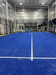 H004 Single Padel Court (20x6m) - Panoramic Full Set for Private & Small Space Installation,PLAY WISE,Standard Size Double and Single Full Set Panoramic Padel Court Customized Service