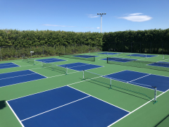Turnkey Pickleball Court,PLAY WISE,Turnkey Pickleball Court