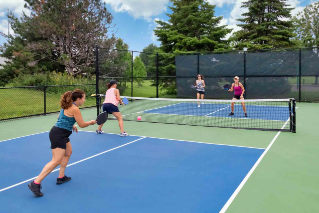 Turnkey Pickleball Court,PLAY WISE,Turnkey Pickleball Court