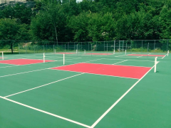 Turnkey Pickleball Court,PLAY WISE,Turnkey Pickleball Court