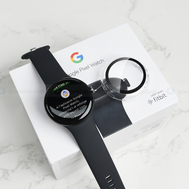 Google Watch Case