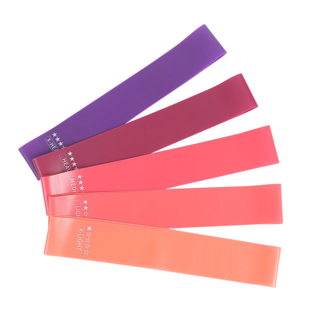 Resistance Loop Bands | Premium 5-Level Fitness Resistance Bands,MY SHOP,Resistance Loop Bands | Premium 5-Level Fitness Resistance Bands