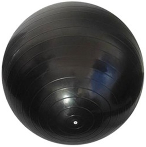 65cm Yoga Ball Exercise Ball PVC Stability Balance Yoga Ball Chair Quick Pump for Physical Workout,MY SHOP,45cm Yoga Ball Exercise Ball PVC Stability Balance Yoga Ball Chair Quick Pump for Physical Workout