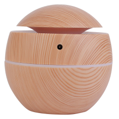 Rear studio view of the spherical mist humidifier illustrating the dedicated DC power input jack centered on the back casing.
