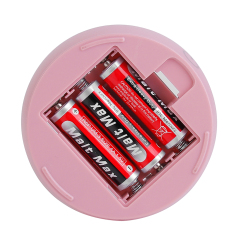 Bottom-up view of the battery-powered LED lantern showing the open battery compartment with AA batteries.