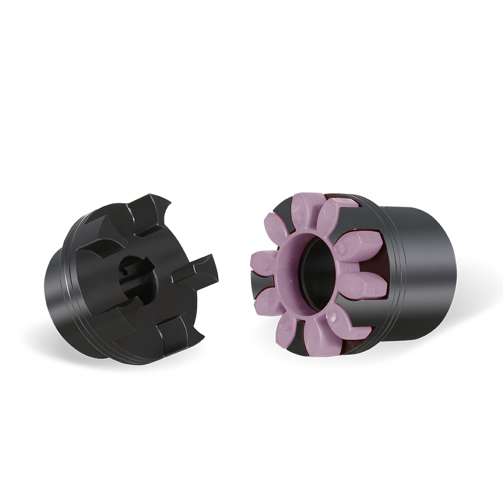 Dongxu Plum-Blossom Coupling
